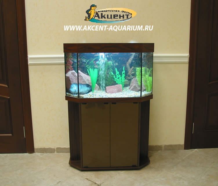 Акцент-аквариум,аквариум стандартный 135 литров панорамный,офис